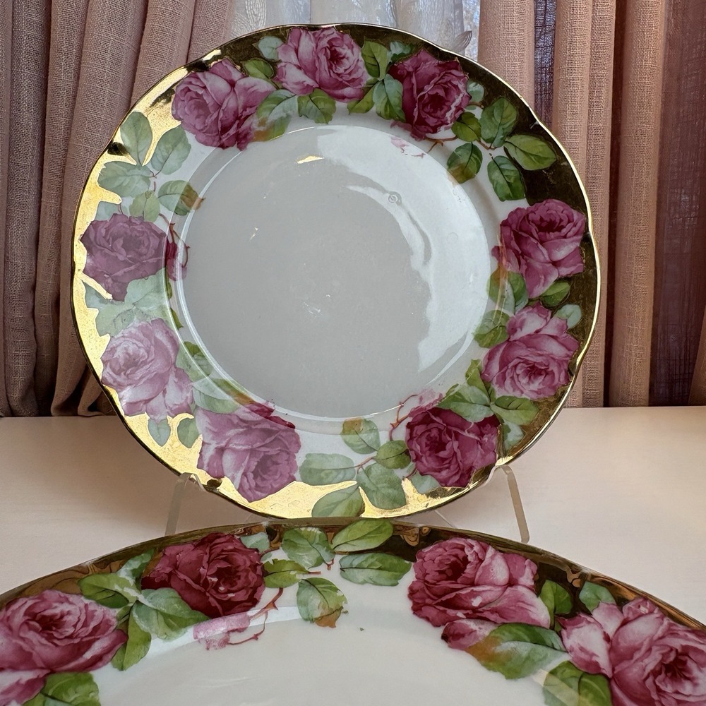 Victoria Austria English Rose And Gold Banded Border 10" Dinner Plates (2) - Picture 4 of 12
